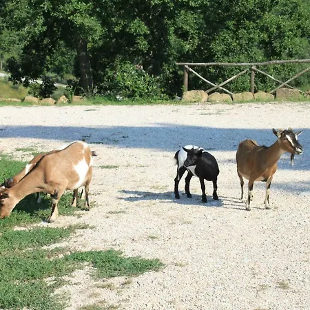 Agriturismo Sant'angelo *