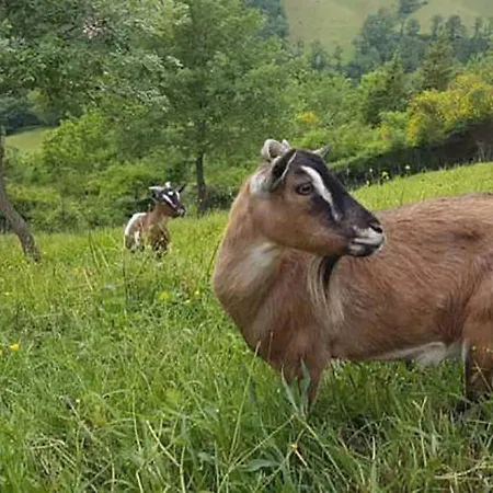 Agriturismo Sant'angelo Farm stay