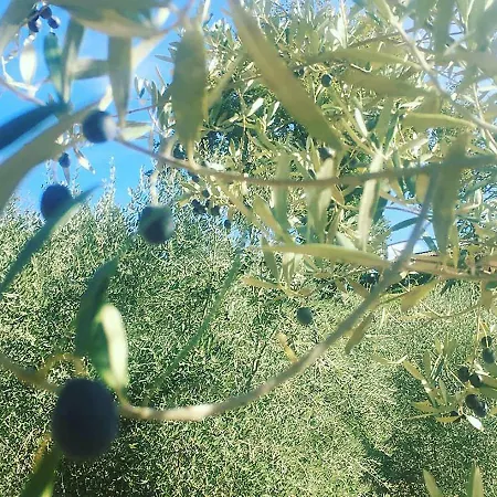 Agriturismo Sant'angelo Farm stay Gubbio