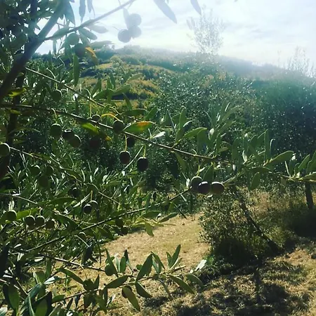 Agriturismo Sant'angelo